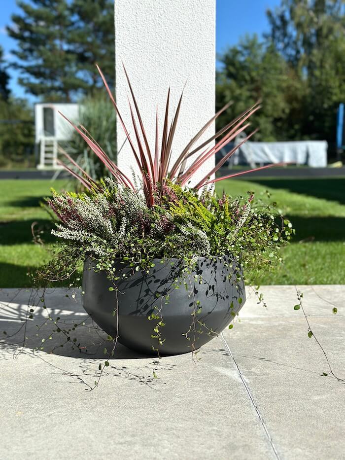 DONICZKA AMANDO S ANTRACYT