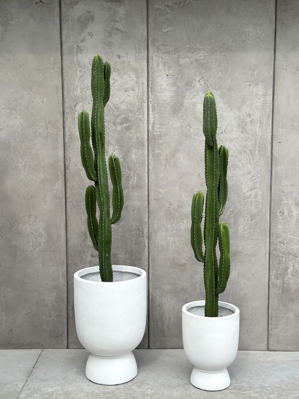 KAKTUS SZTUCZNY AKSAMITNY