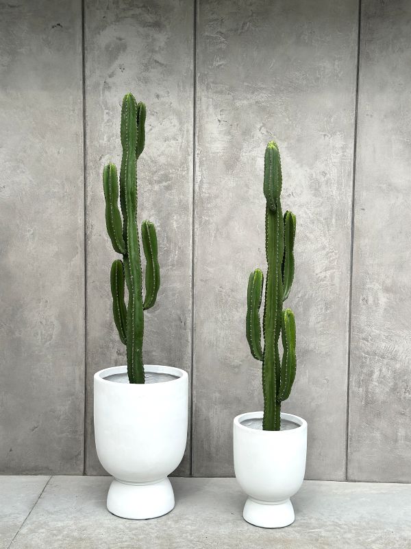 KAKTUS SZTUCZNY AKSAMITNY