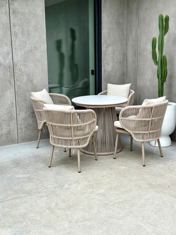 KAKTUS SZTUCZNY AKSAMITNY