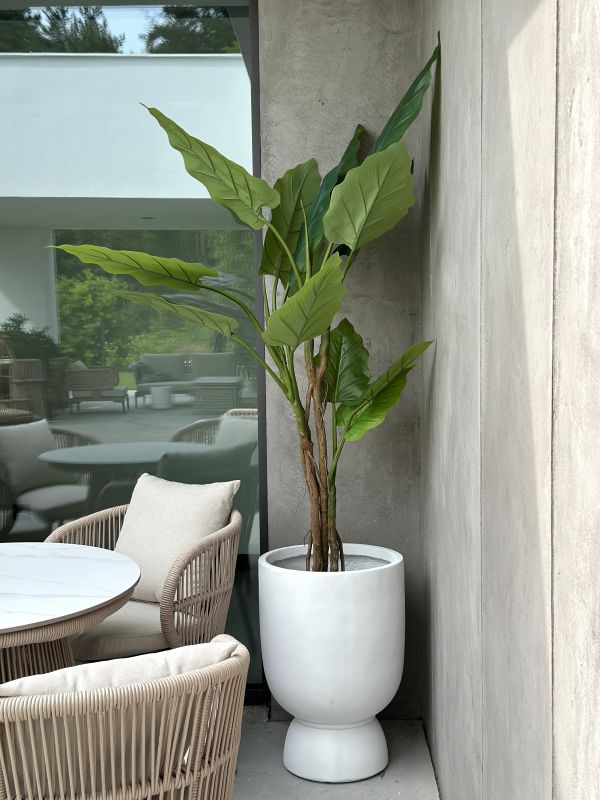 DRZEWKO SZTUCZNE FILODENDRON XXL