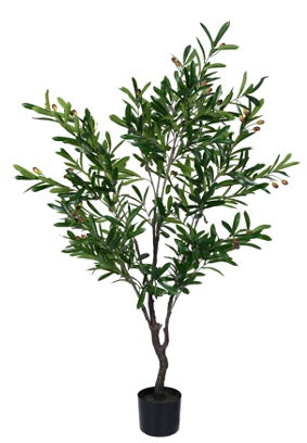 8da11623d8197fbdcb158f06a6a4ecb1