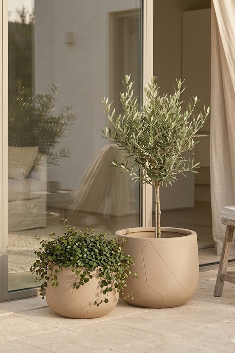 065ae61b80f3e6d5495922b1d421937a