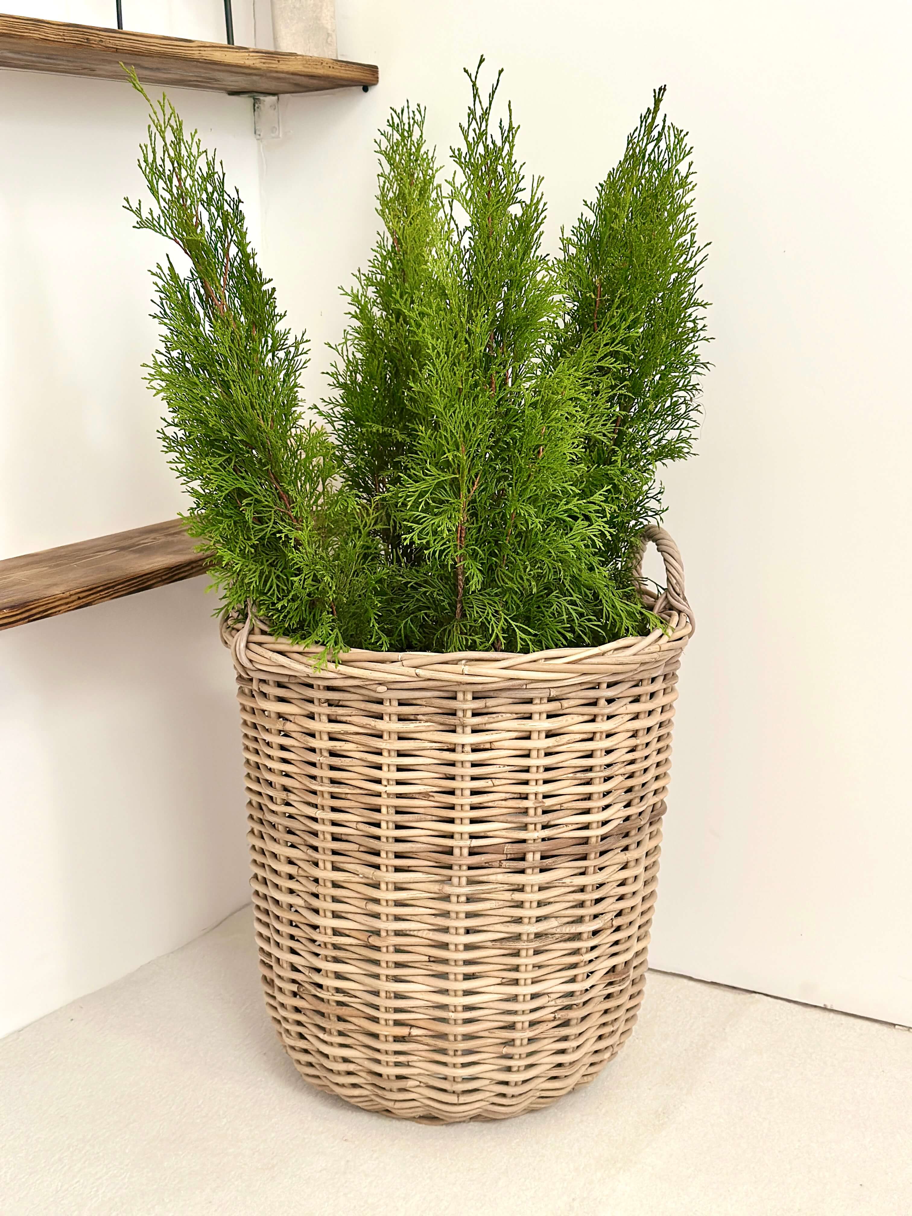 d2220f93c8c70eb8ce08c1104e36324e