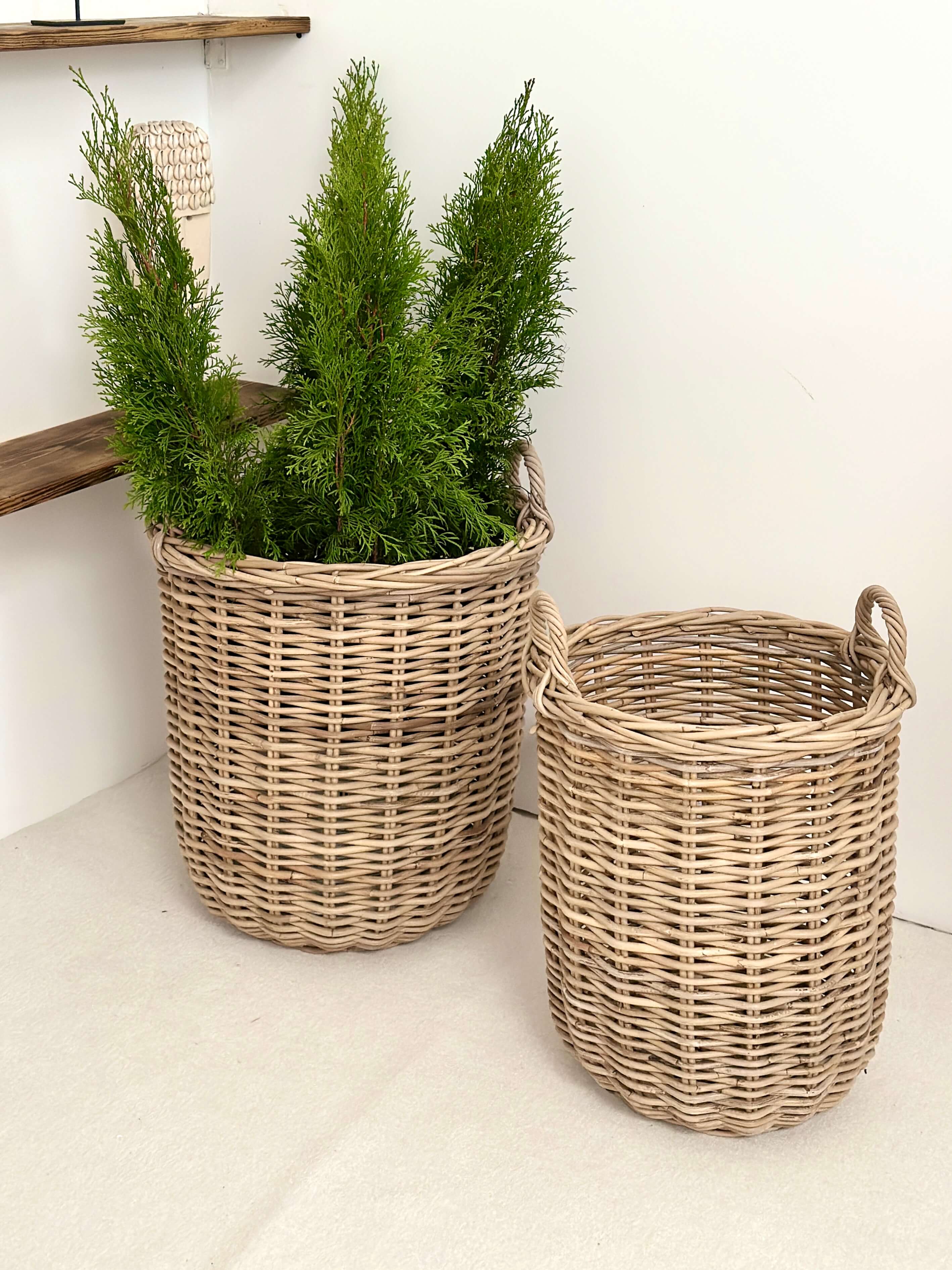 33372644cf605fec0fce3bfc91e097a0