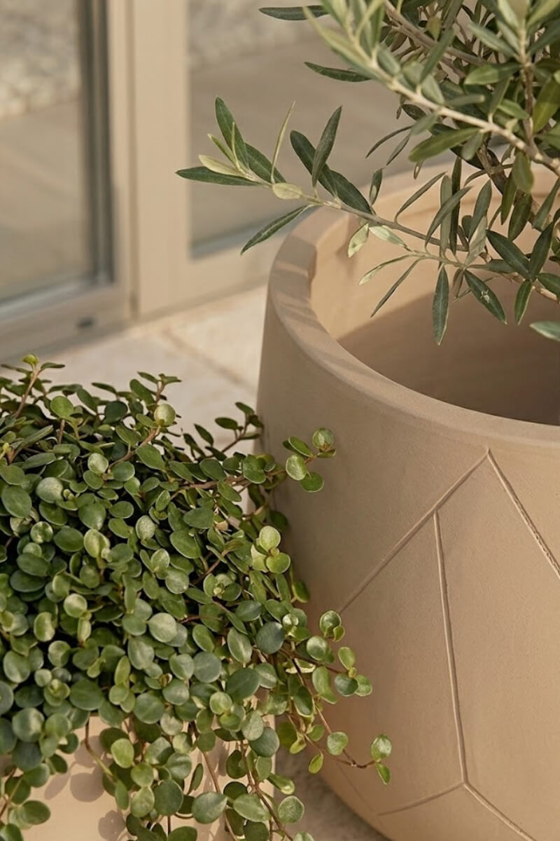 853e9d60c9a366d5e244b4e5286178e5