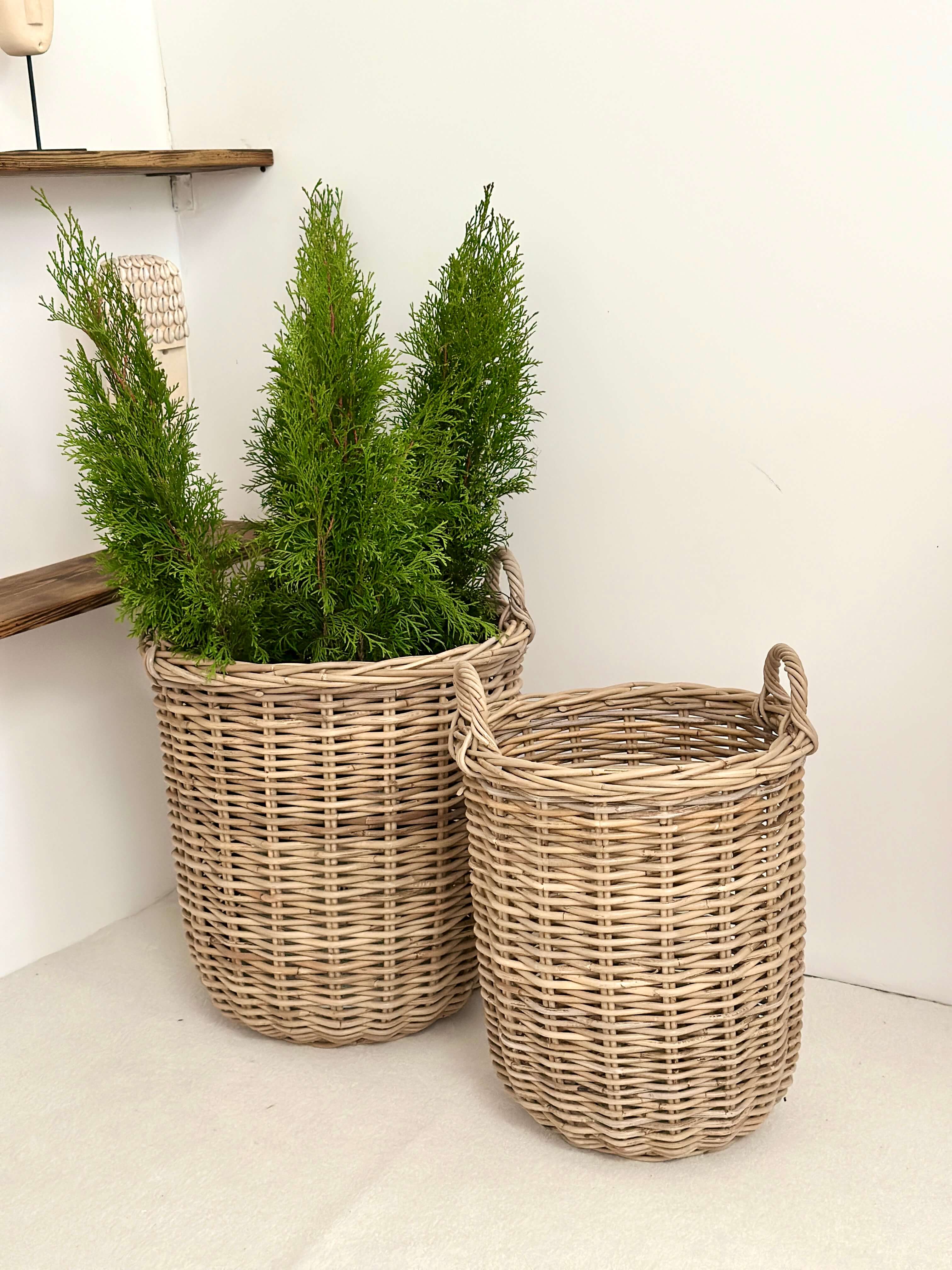 b09242d58c68c7a24620c754b20ce6ff