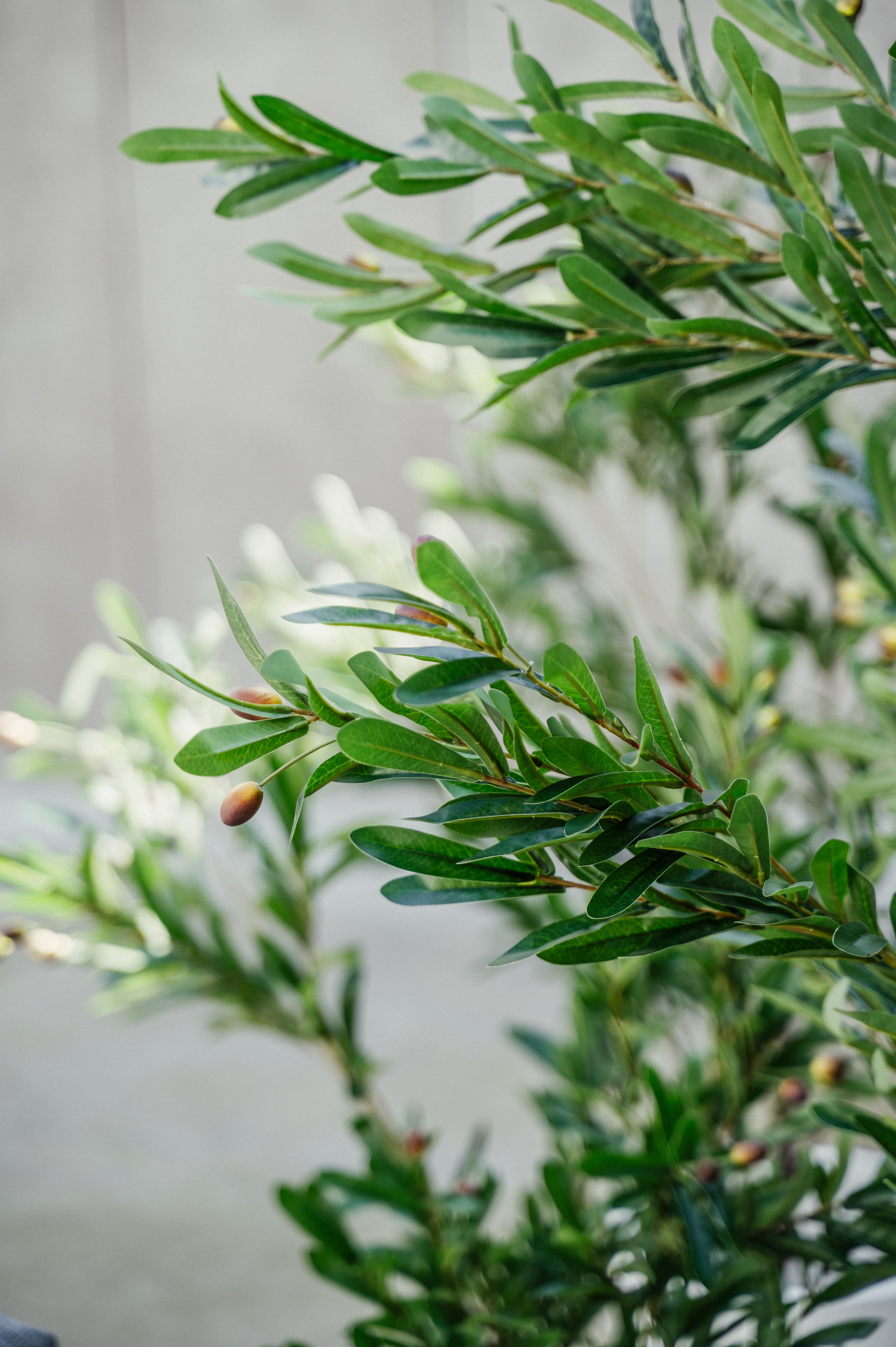 DUŻE SZTUCZNE DRZEWKO OLIWNE - 180 cm - DEKORACJA INSPIROWANA NATURĄ