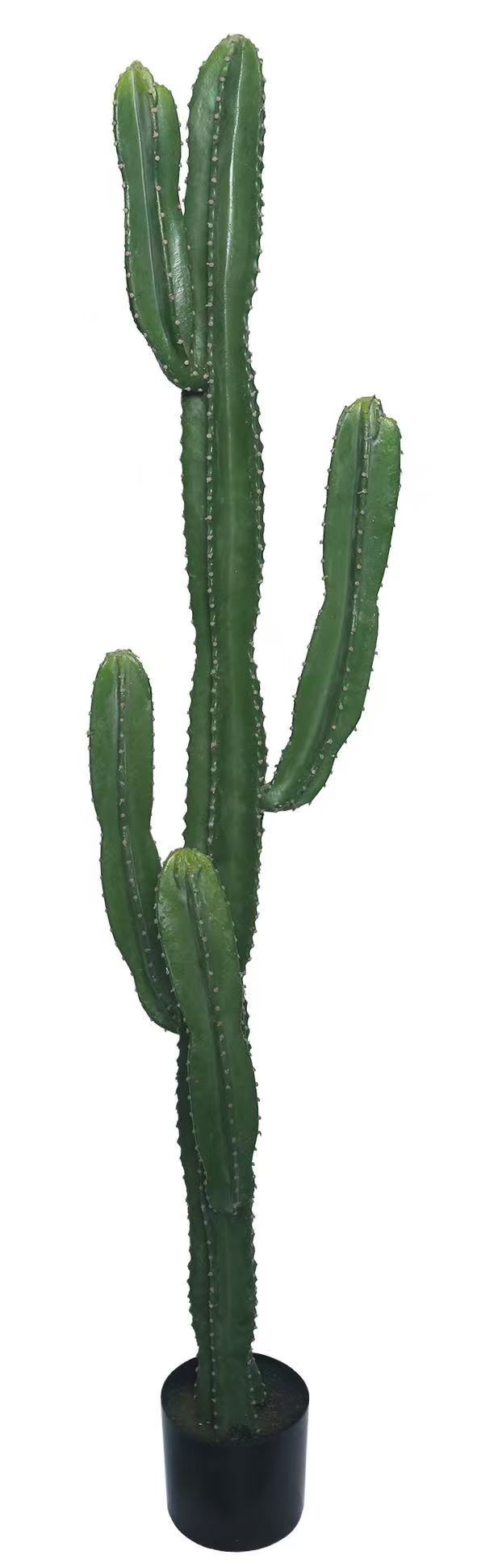 KAKTUS SZTUCZNY AKSAMITNY