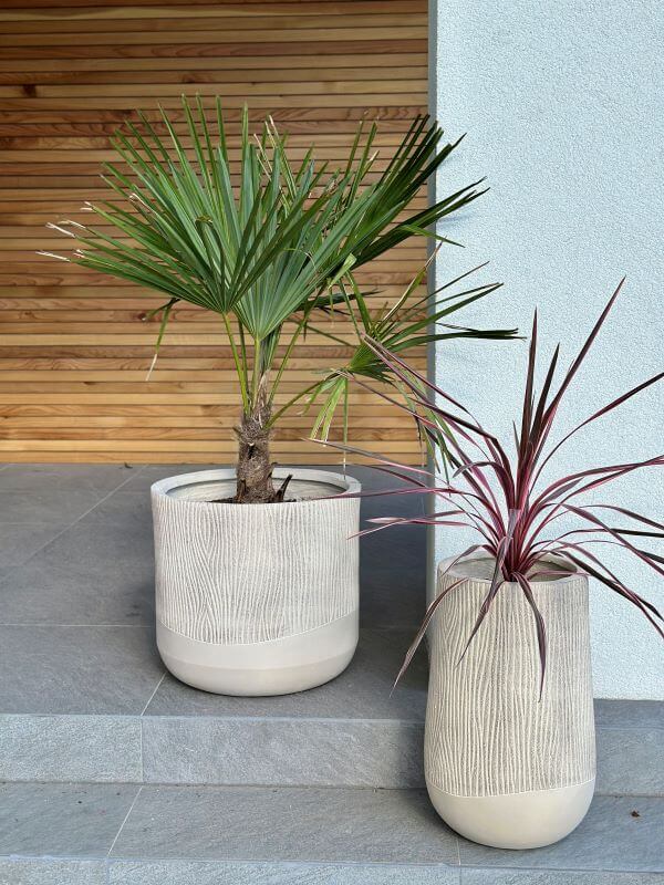 DONICZKA ALETTO SAND TALL S