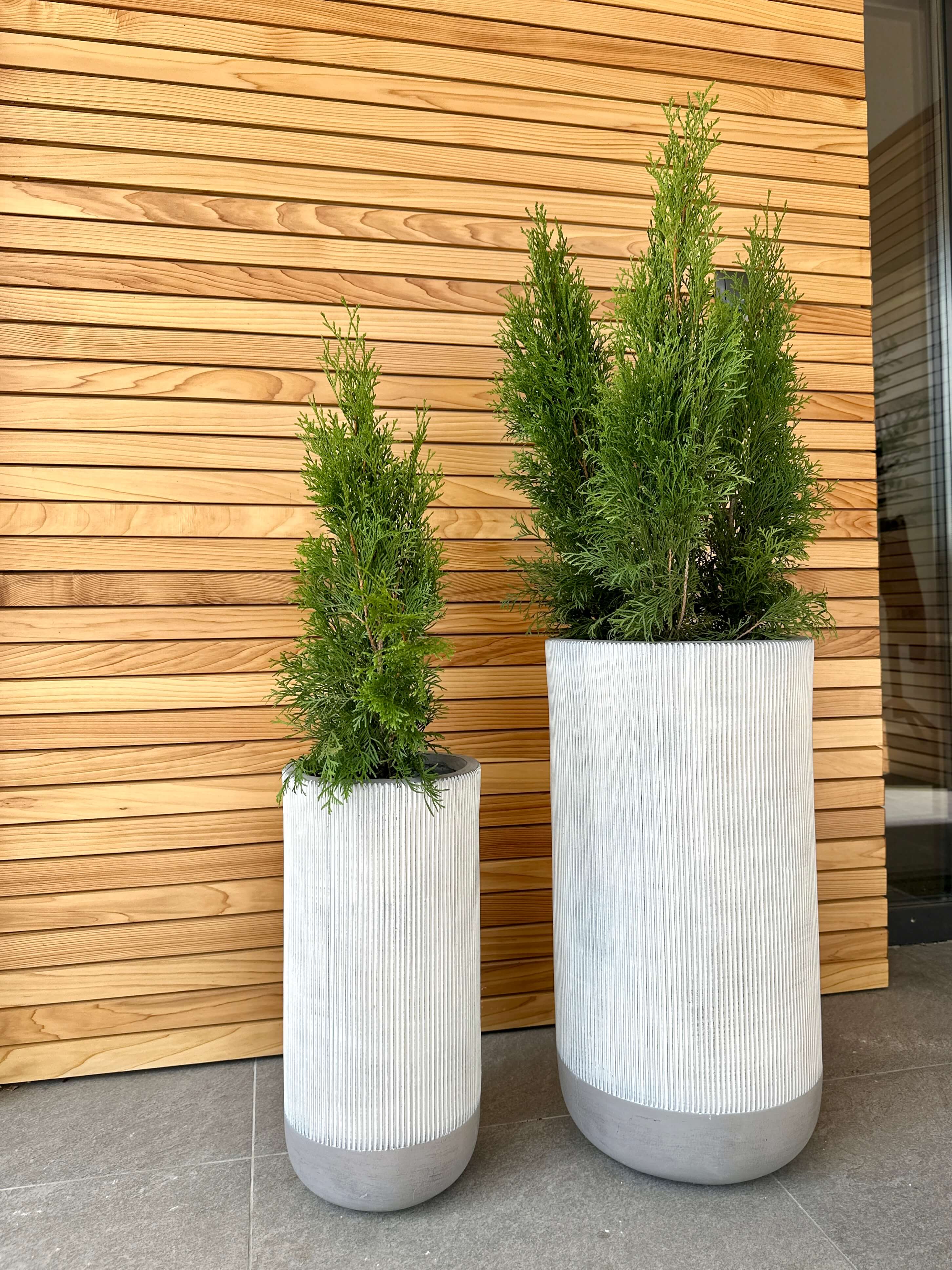 ZESTAW DONICZEK NIKOS