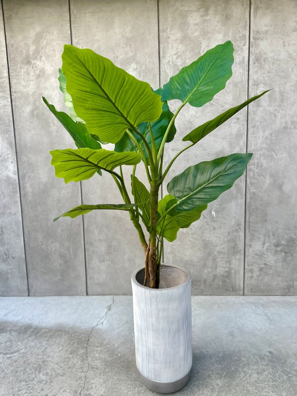 DRZEWKO SZTUCZNE FILODENDRON XXL