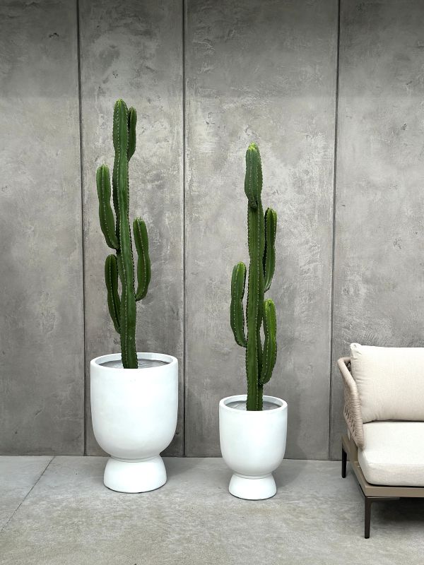 KAKTUS SZTUCZNY AKSAMITNY