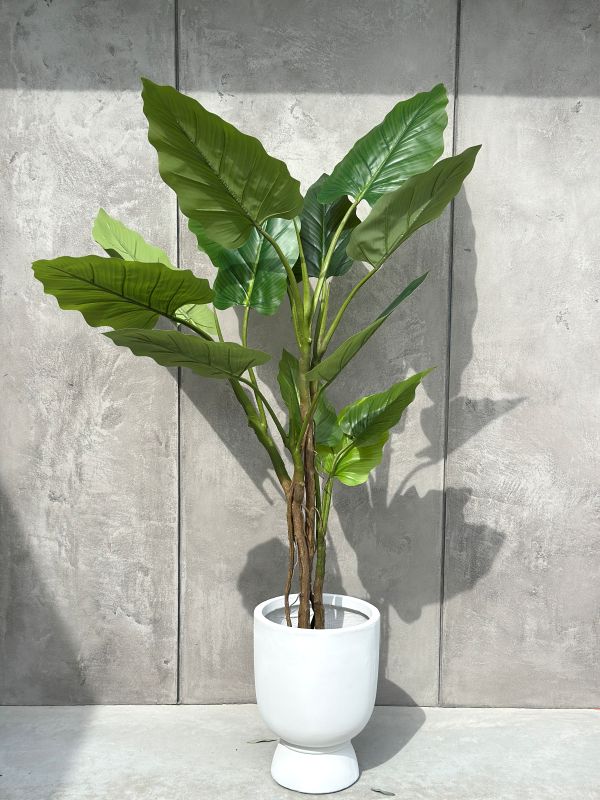 DRZEWKO SZTUCZNE FILODENDRON XXL