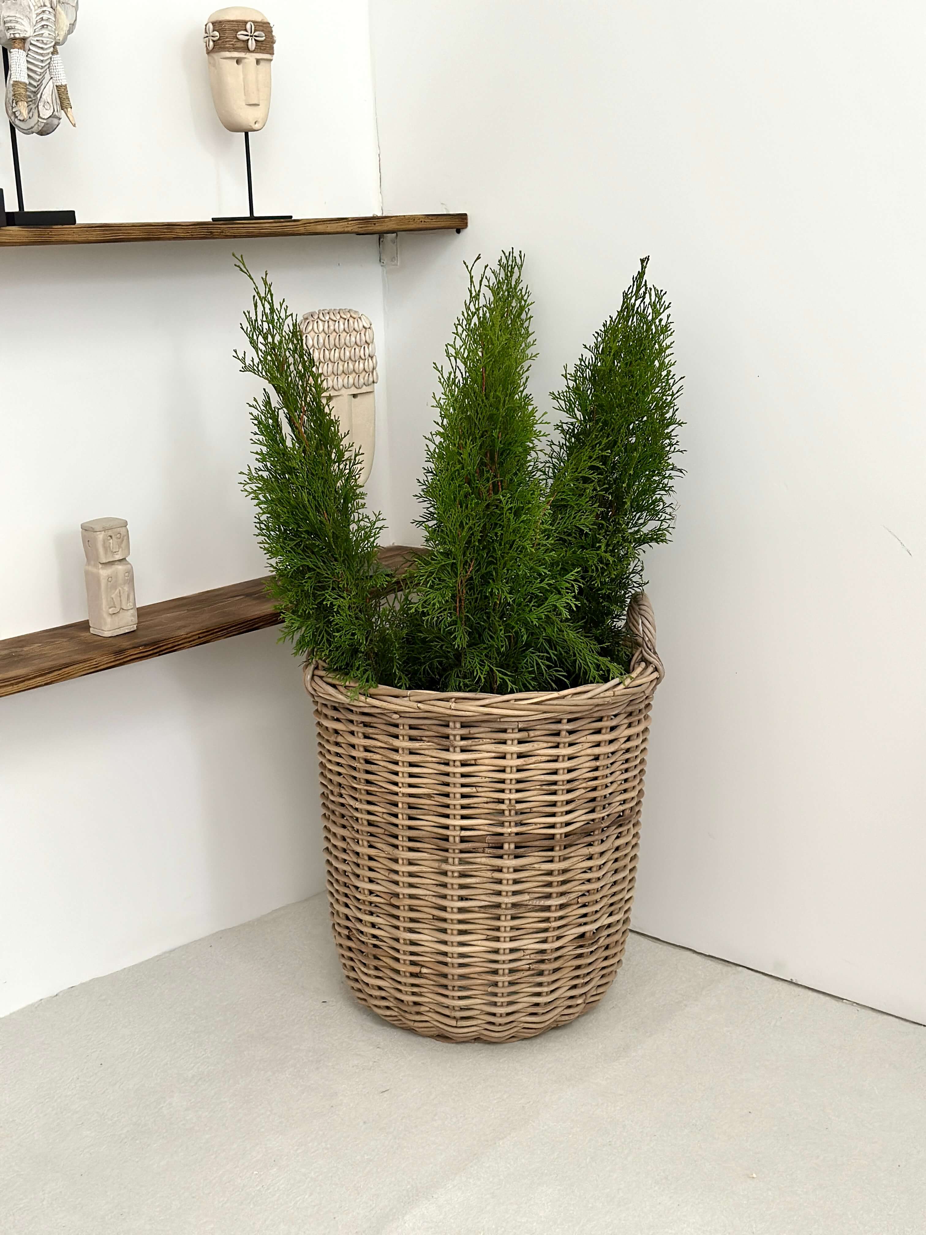 95c0b4adb8802ea16a09a141ee18122b