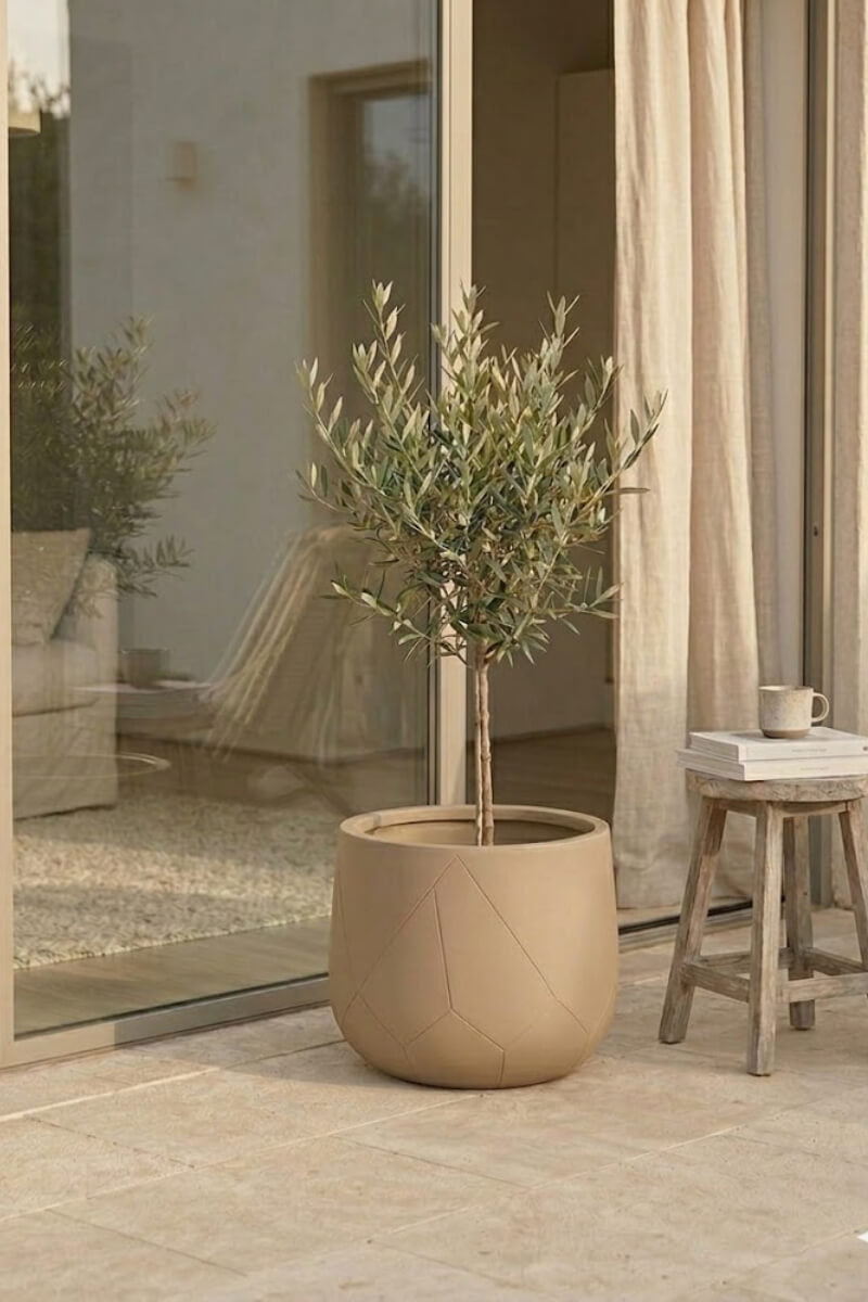 9aaa4a86a513846a7870ea1c6a2a2731