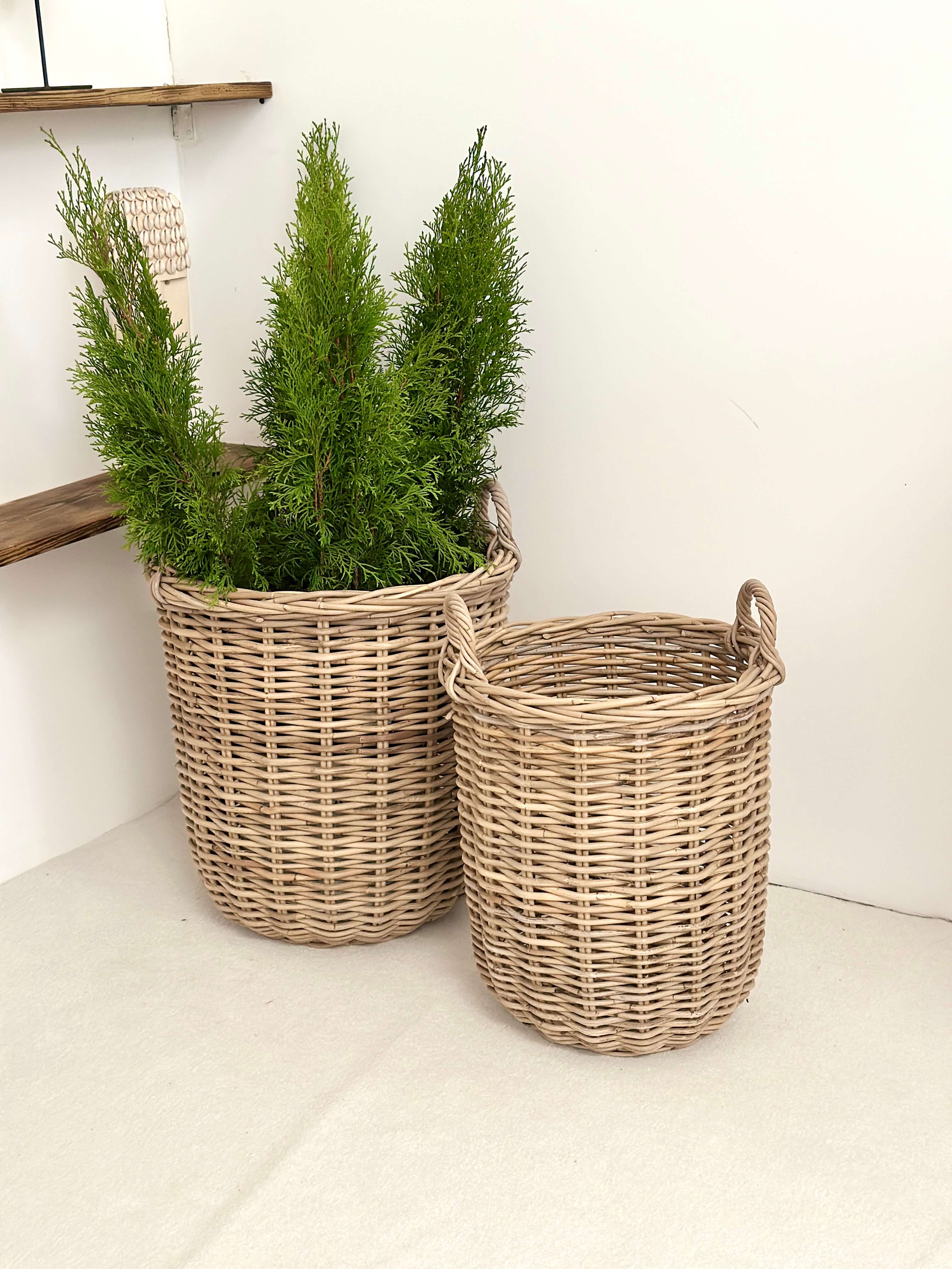 ea8ac43fecf4d13540fd0764e559e7fa